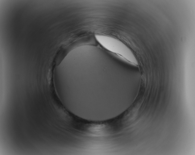 X0000089720458200707201824