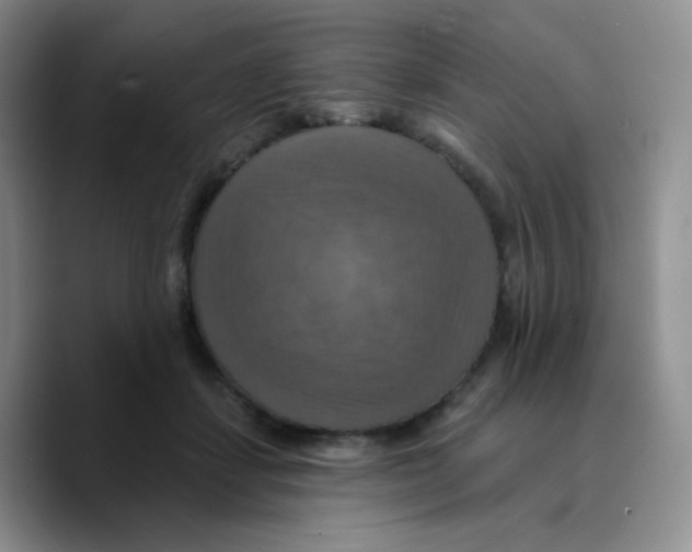 X0000089720459200707201824