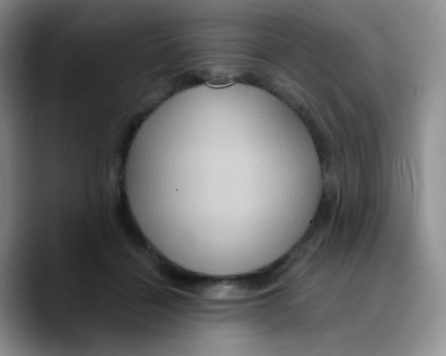X0000089720460200707201824