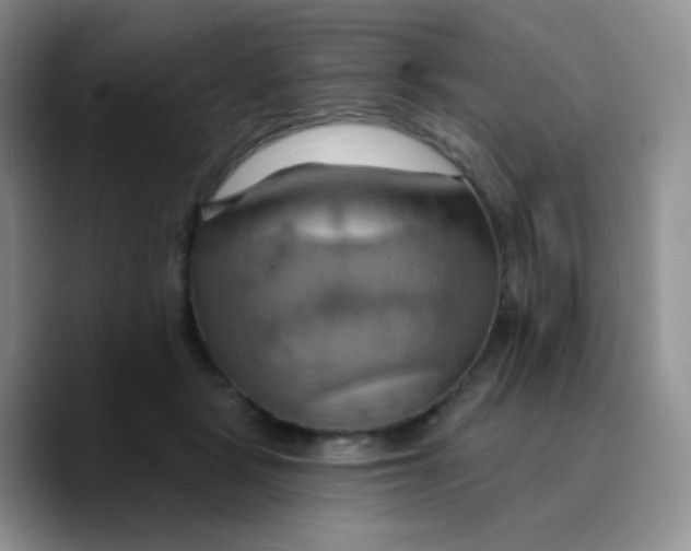 X0000089720461200707201824
