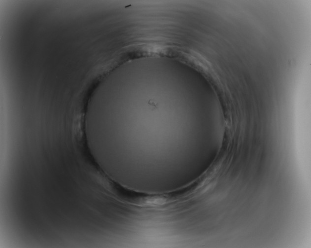 X0000089720462200707201824