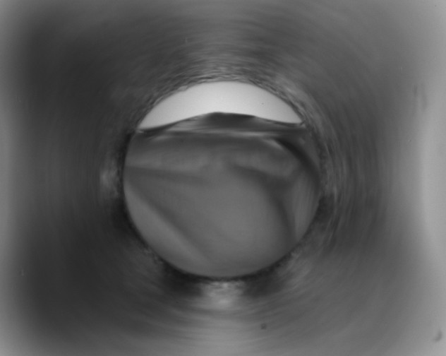 X0000089720465200707201824