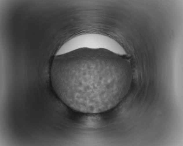 X0000089720466200707201824