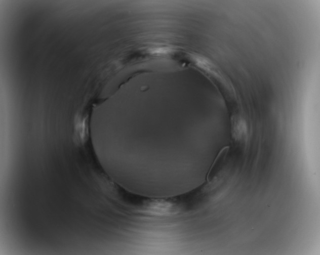 X0000089720471200707201824