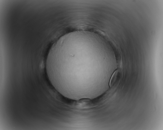 X0000089720472200707201824