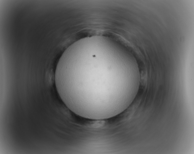 X0000089720474200707201824