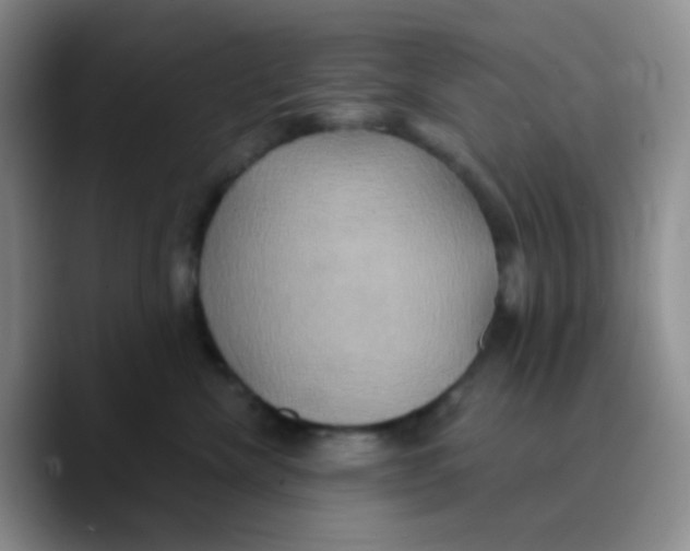 X0000089720476200707201824