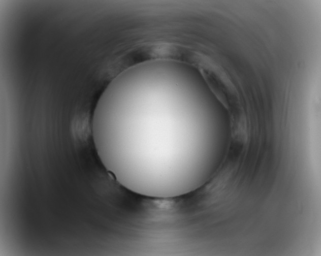 X0000089720478200707201824