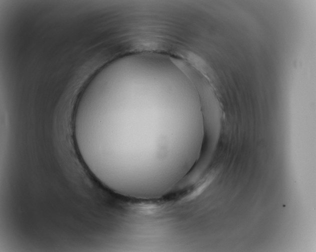 X0000089720481200707201824