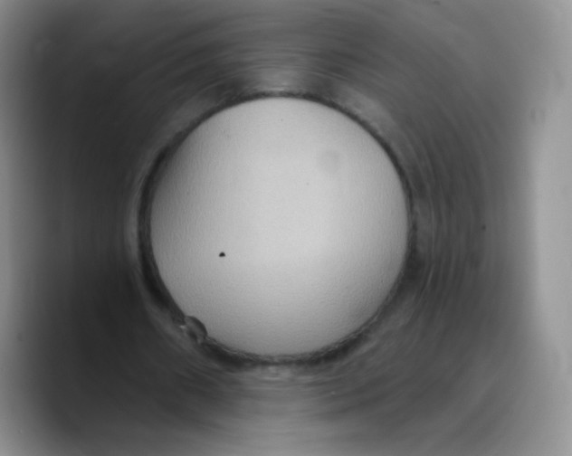 X0000089720482200707201824
