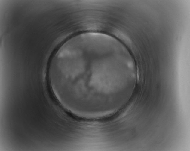 X0000089720483200707201824