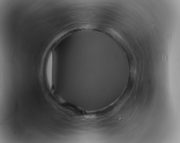 X0000089720484200707201824