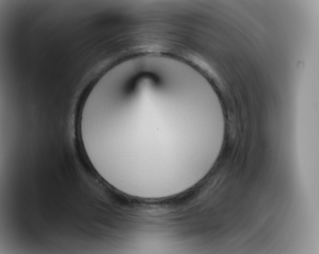 X0000089720486200707201824