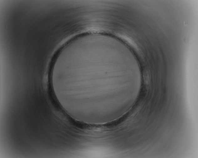 X0000089720488200707201824