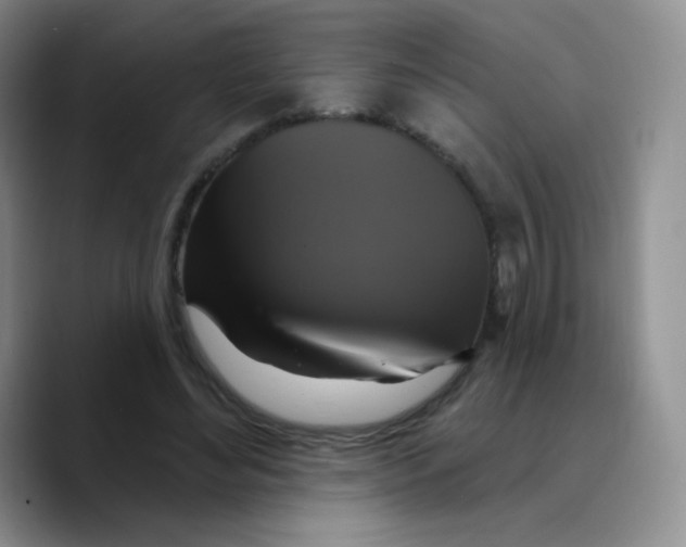 X0000089720492200707201824