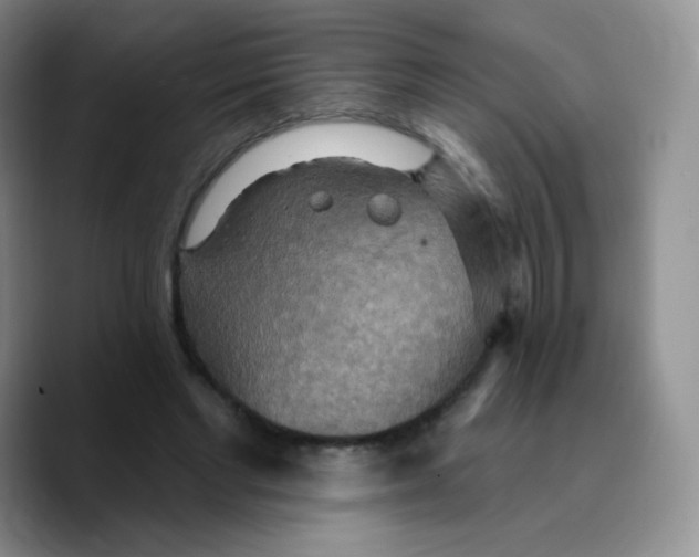 X0000089720493200707201824