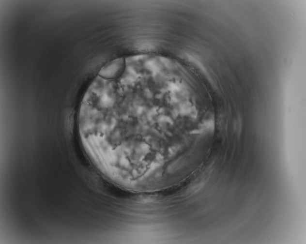 X0000089720495200707201824