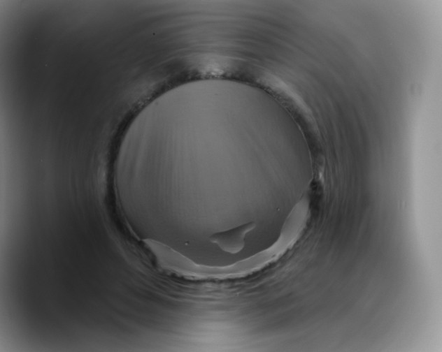 X0000089720496200707201823