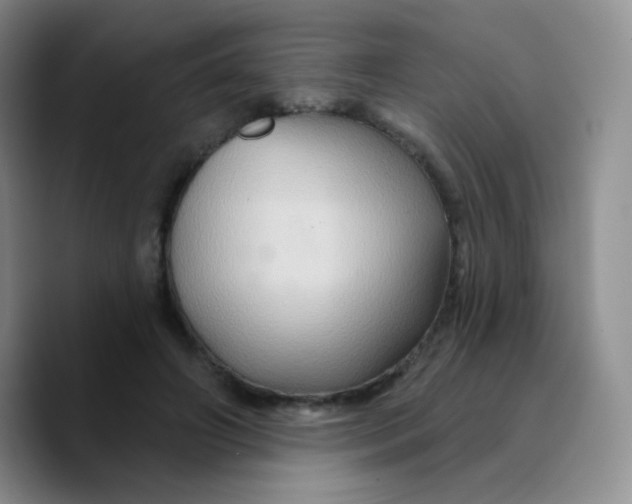 X0000089720498200707201823