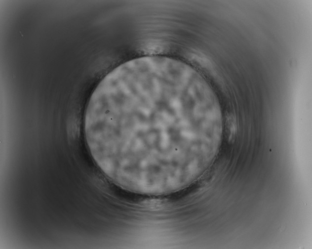 X0000089720499200707201823