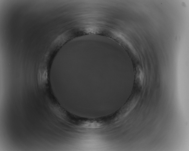 X0000089720502200707201823