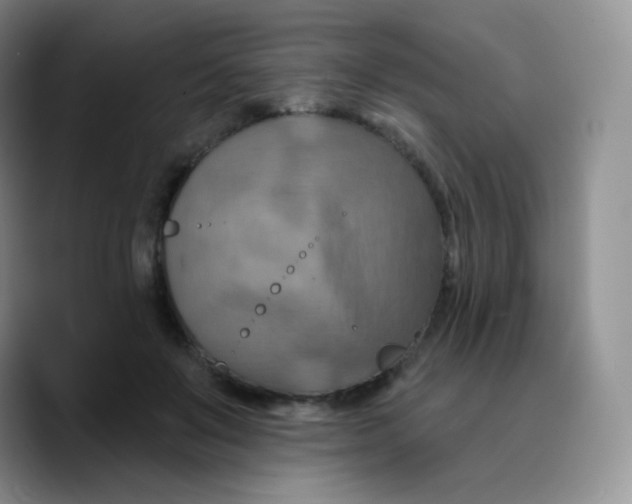 X0000089720503200707201823