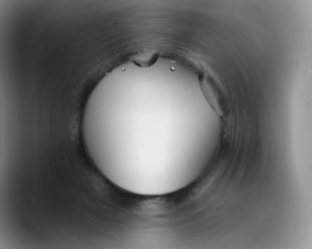 X0000089720505200707201823