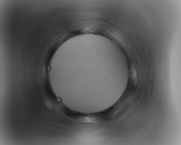 X0000089720506200707201823
