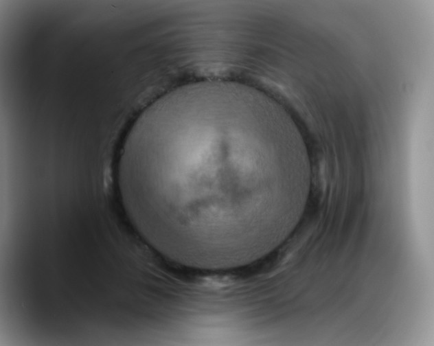 X0000089720508200707201823