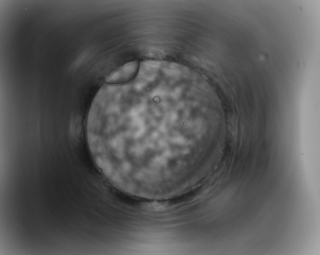 X0000089720511200707201823
