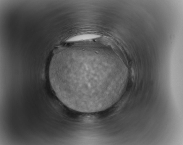 X0000089720512200707201823