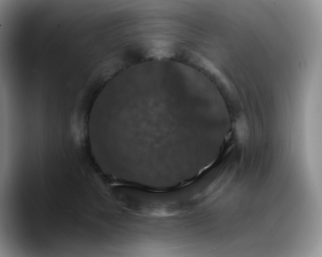 X0000089720517200707201823