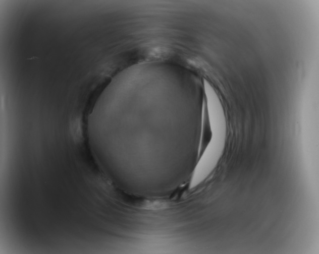 X0000089720520200707201823