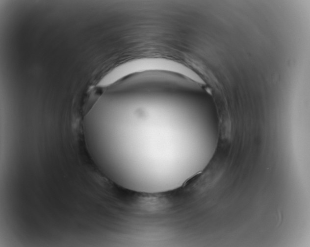 X0000089720521200707201823