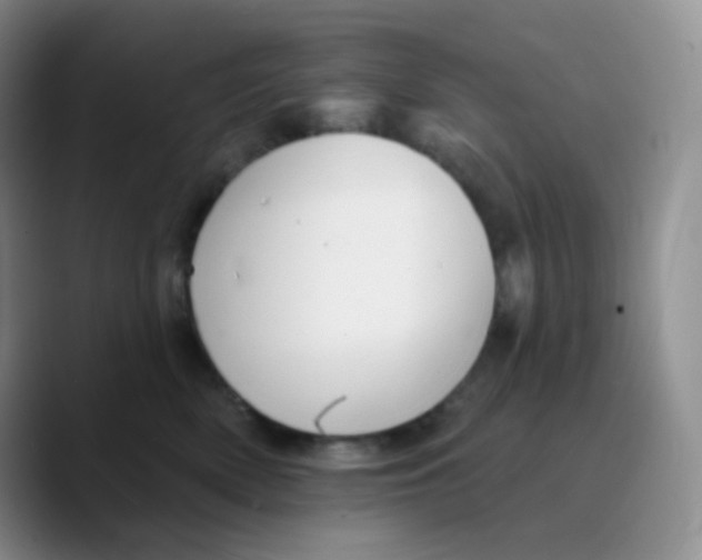 X0000089720522200707201823