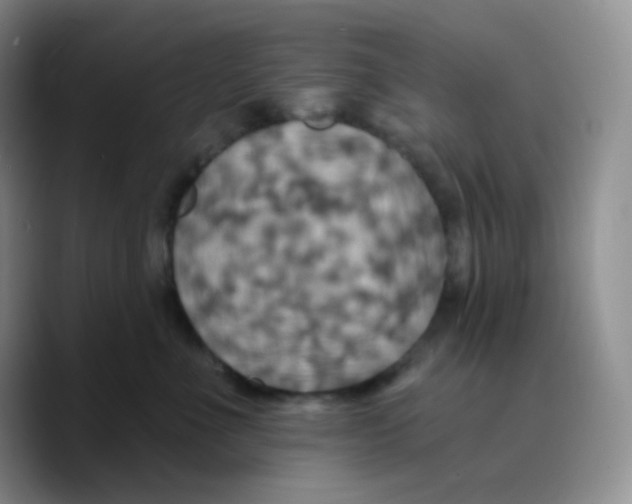 X0000089720523200707201823