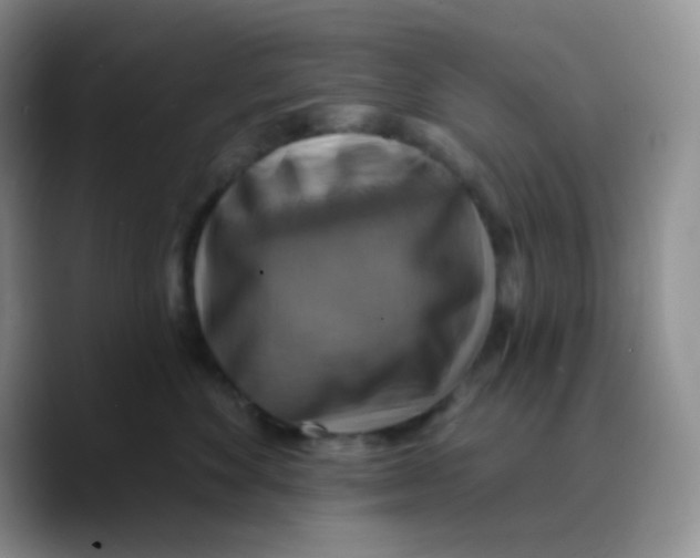 X0000089720524200707201823