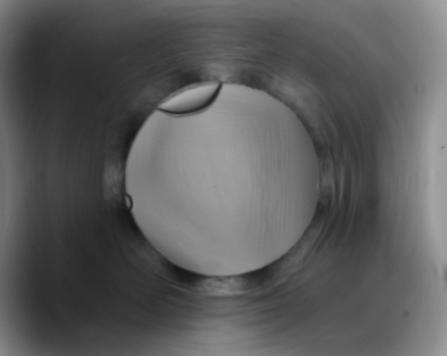 X0000089720526200707201823