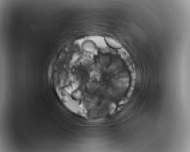 X0000089720527200707201823
