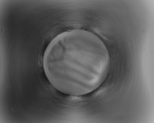 X0000089720528200707201823