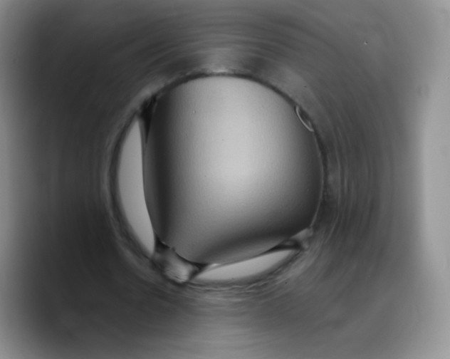 X0000089720530200707201822