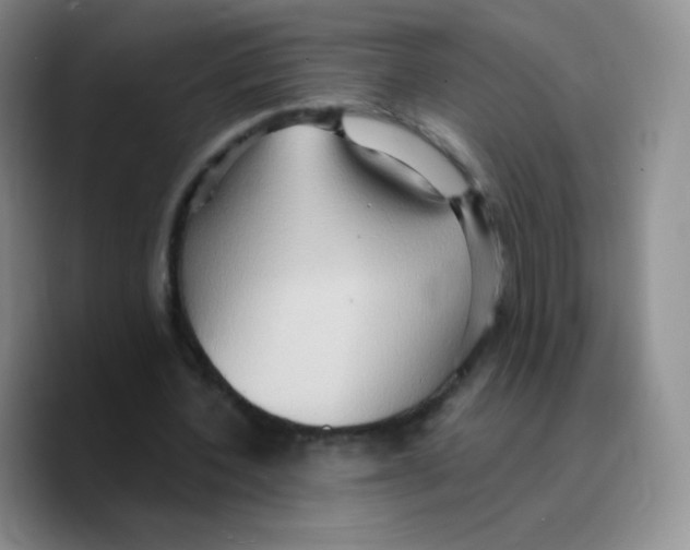 X0000089720532200707201822
