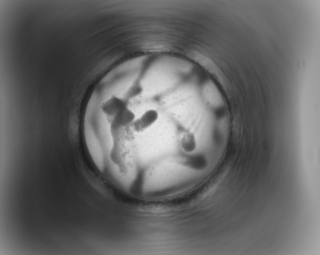 X0000089720533200707201822