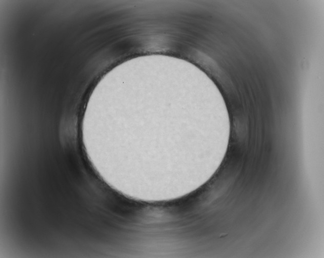 X0000089720534200707201823