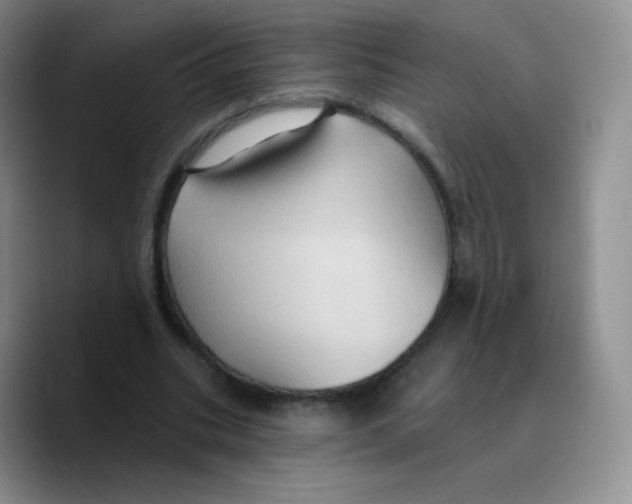 X0000089720535200707201823