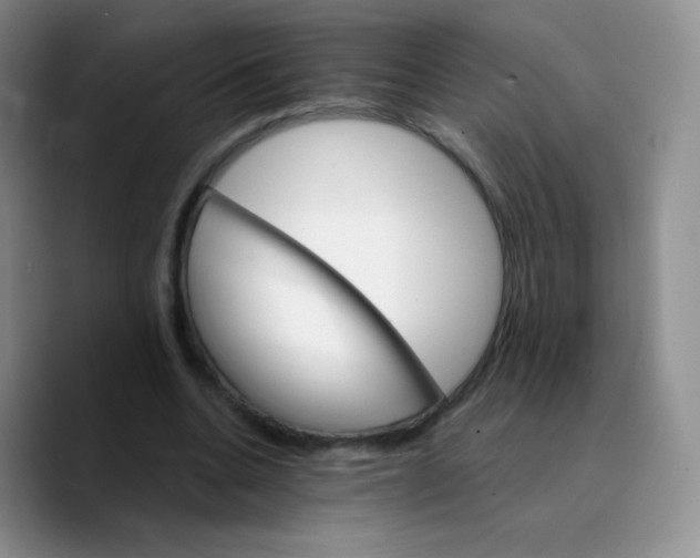 X0000089720536200707201823