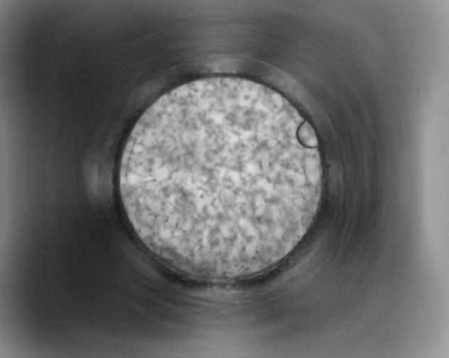 X0000089720537200707201823