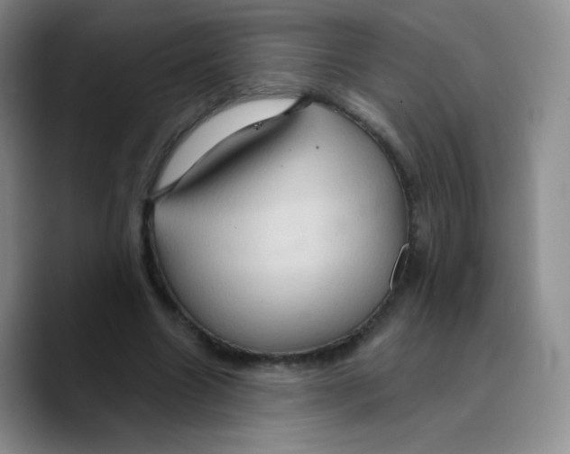 X0000089720538200707201823