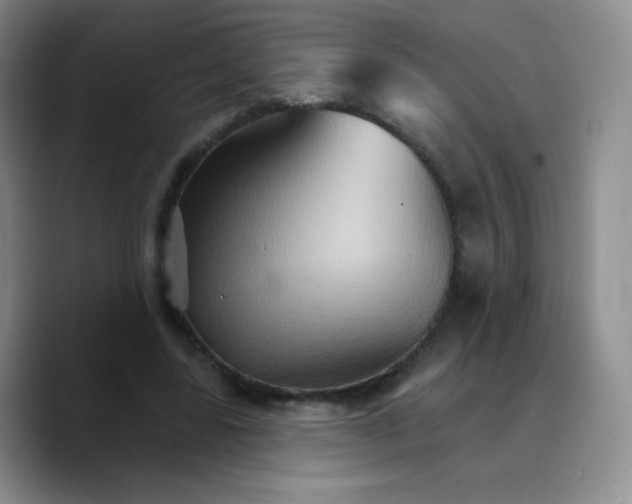 X0000089720539200707201823