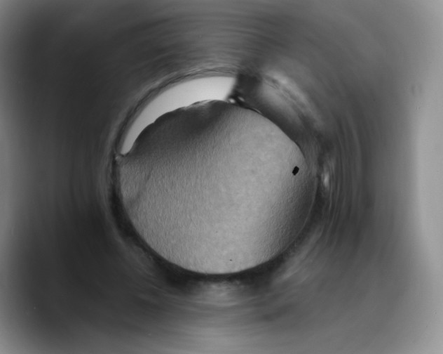 X0000089720540200707201823